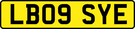 LB09SYE