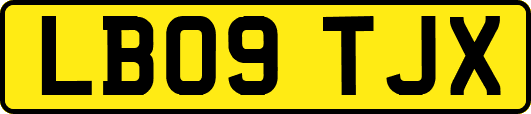 LB09TJX