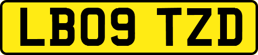 LB09TZD