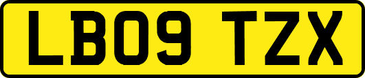 LB09TZX