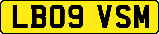 LB09VSM