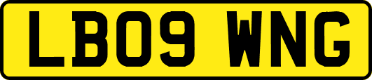 LB09WNG