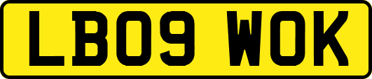 LB09WOK