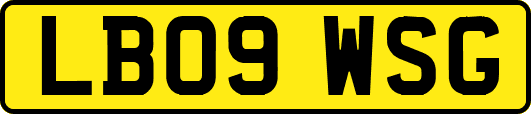 LB09WSG
