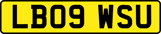 LB09WSU