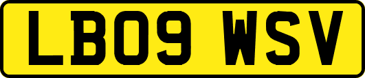 LB09WSV