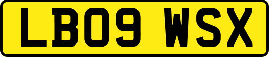 LB09WSX