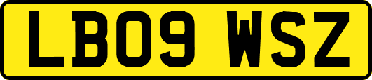 LB09WSZ