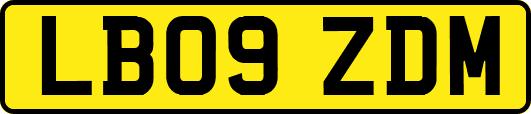 LB09ZDM