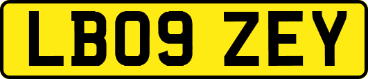 LB09ZEY