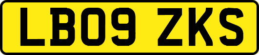 LB09ZKS