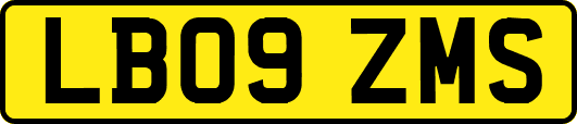 LB09ZMS
