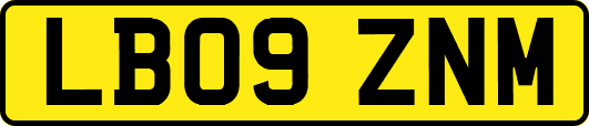 LB09ZNM