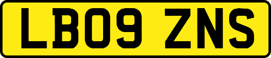 LB09ZNS