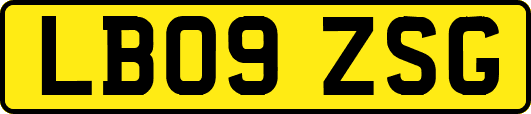 LB09ZSG