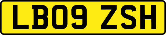LB09ZSH