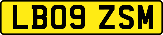 LB09ZSM