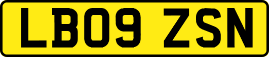 LB09ZSN