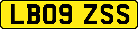 LB09ZSS