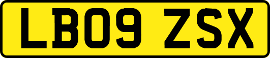 LB09ZSX