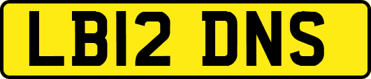 LB12DNS