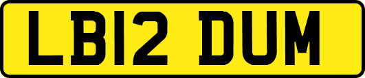 LB12DUM