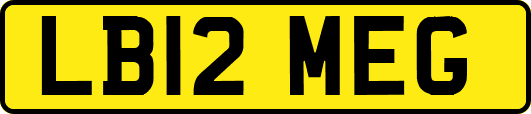 LB12MEG