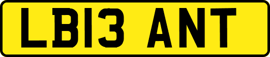 LB13ANT