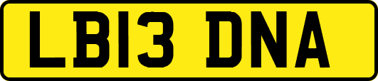 LB13DNA