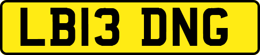 LB13DNG