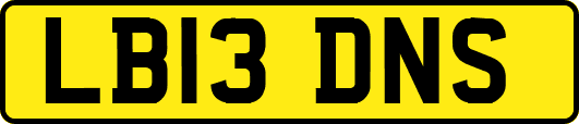 LB13DNS