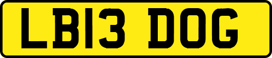 LB13DOG