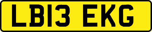 LB13EKG