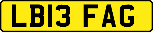 LB13FAG