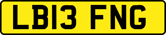 LB13FNG