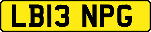 LB13NPG
