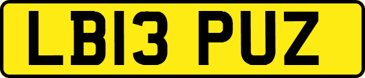 LB13PUZ