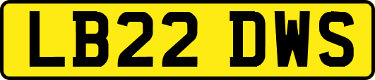 LB22DWS