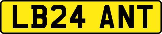 LB24ANT