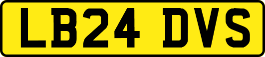 LB24DVS