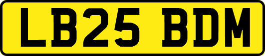 LB25BDM