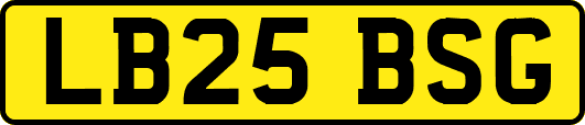 LB25BSG
