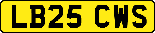 LB25CWS