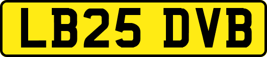 LB25DVB