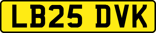 LB25DVK