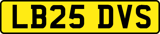 LB25DVS