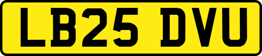 LB25DVU