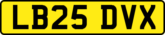 LB25DVX