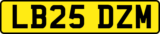 LB25DZM