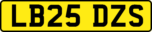 LB25DZS